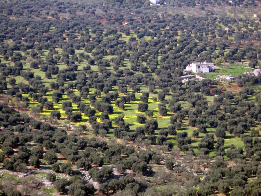 I Trulli Di Acquarossa Aparthotel Cisternino Exterior foto